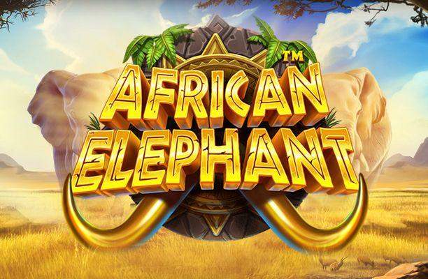 African Elephant - Pragmatic Play